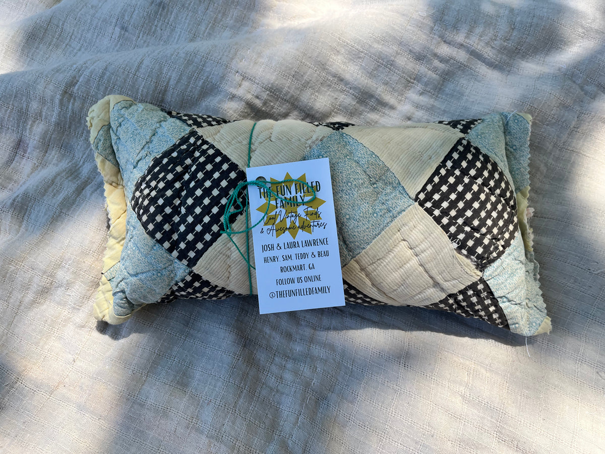 Fancy Francis , 12" Mini Lumbar - Sunday Checkers